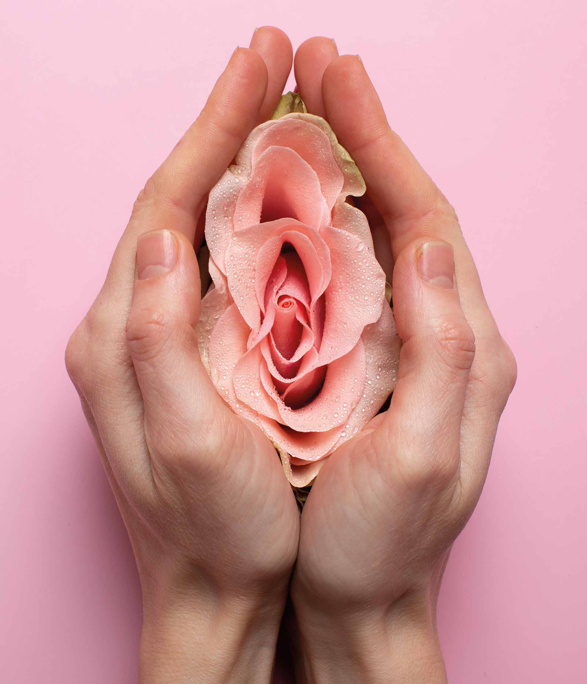 Cirugía plástica vaginal