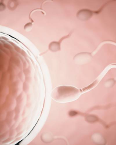 fertilidad fertilidad
