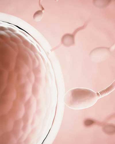 medicina-reproductiva1-400x600px